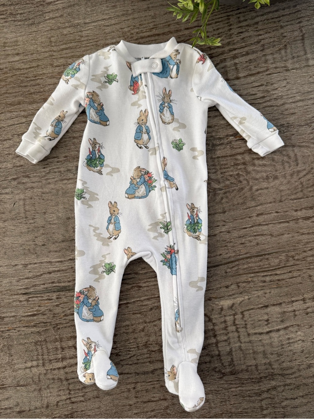 Pottery Barn Kids Peter Rabbit zippy footie 0-3 months